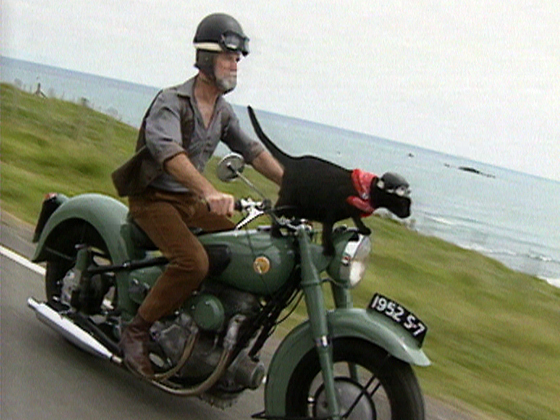 Newsnight - Rastus the Cat