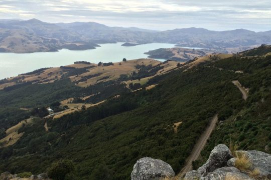View from Akaroa Lighthouse Road