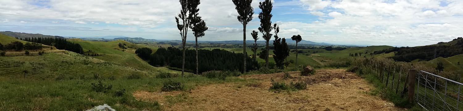Views from Aotearoa Road