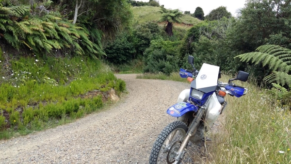 Tight curves on Aotearoa Road