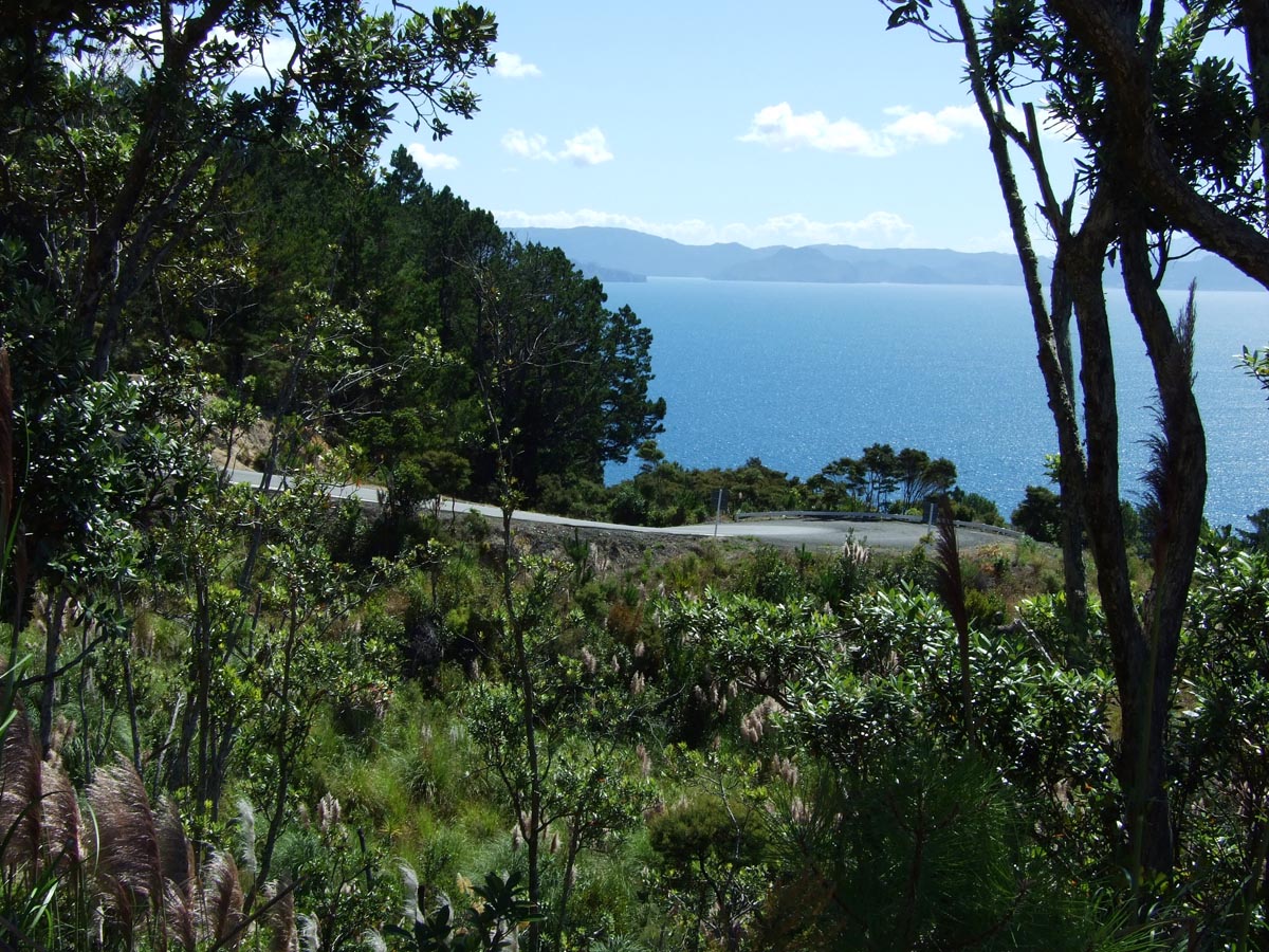 Some of the corners on Black Jack Road are very steep and tight