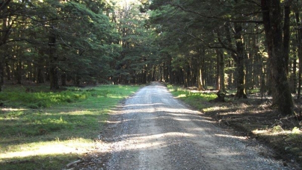 Canaan Road heading to Harwood's Hole