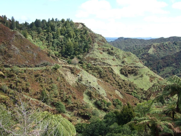 Looking across Fishers Track