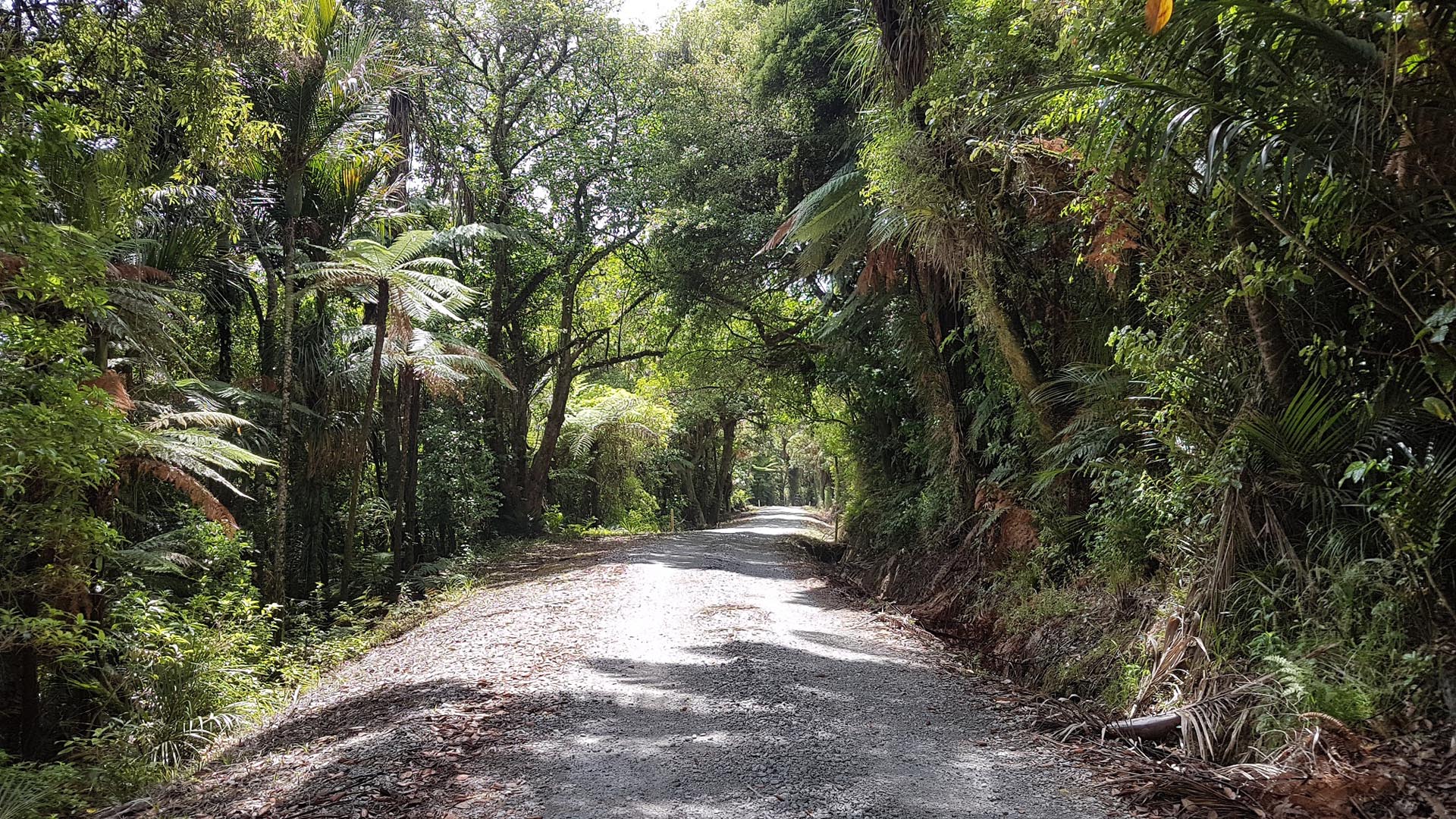 Smooth gravel on Fern Flat Road