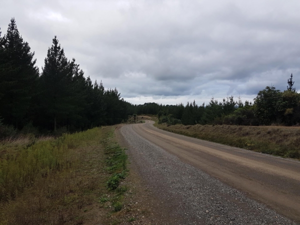 Gwavas Road