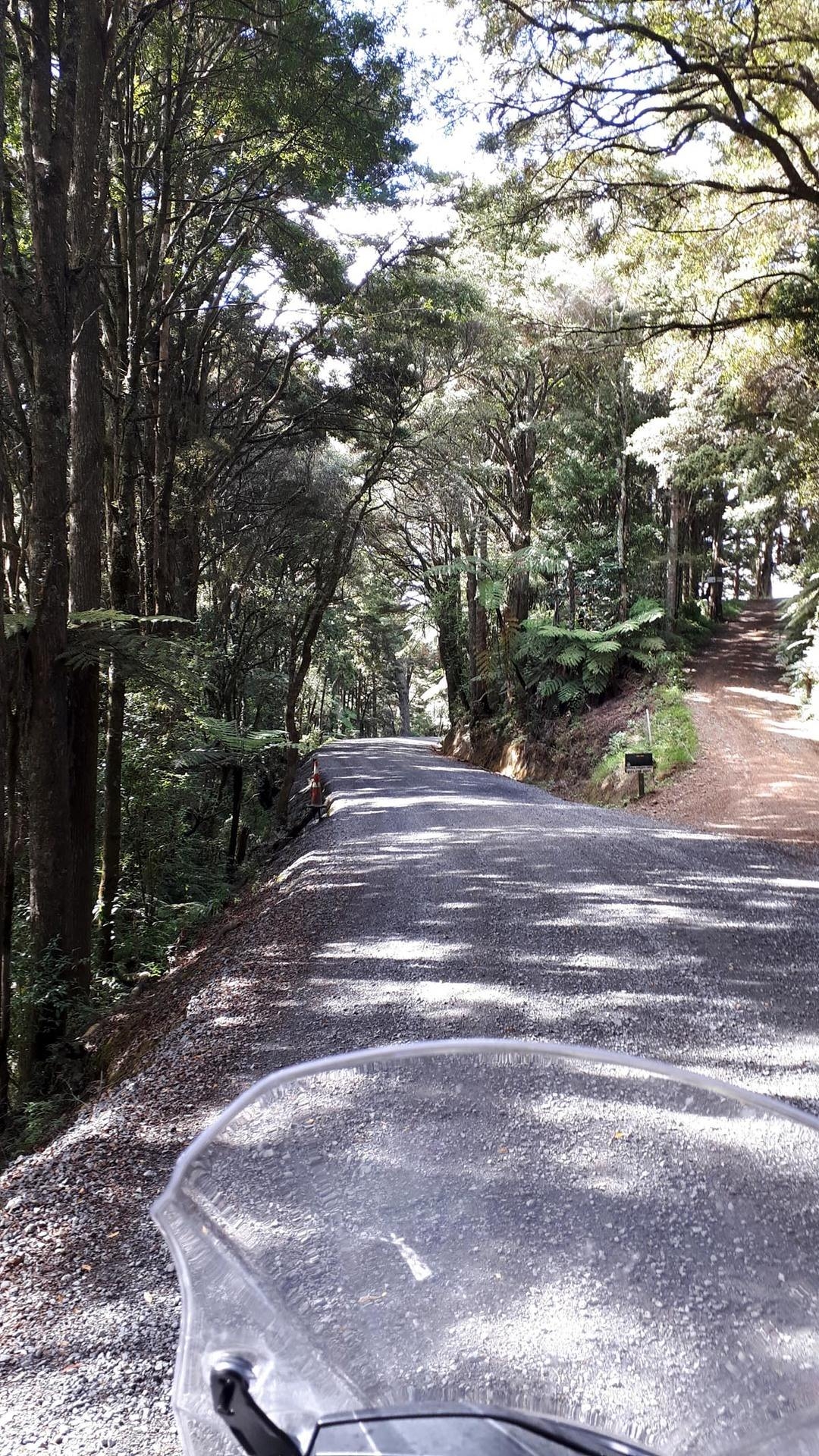 Hailes - Whananaki South Road