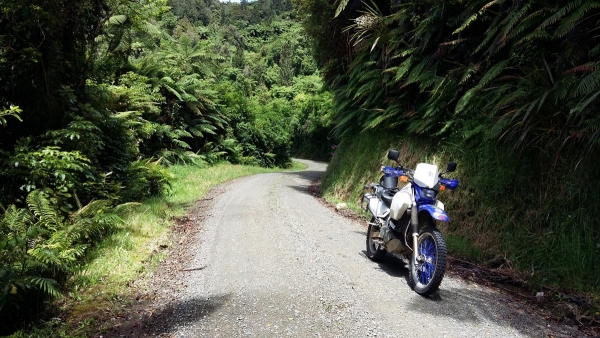 Honikiwi Road