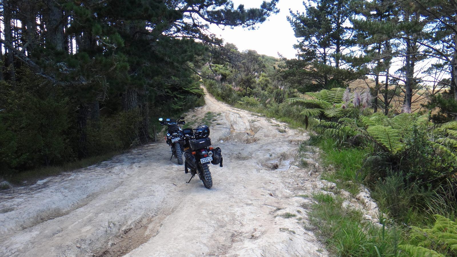 Ruts on Hull Road