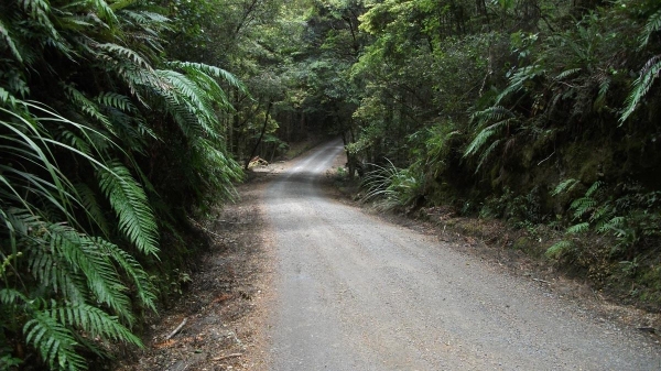 Clements Hill Road heading to the Kaimanawa Wall