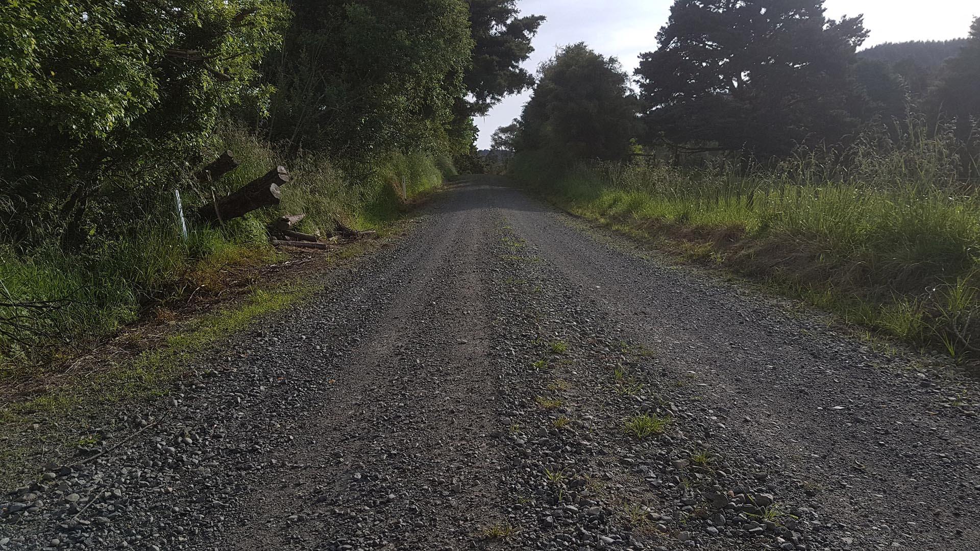 Grass down the center of Kawautahi Road