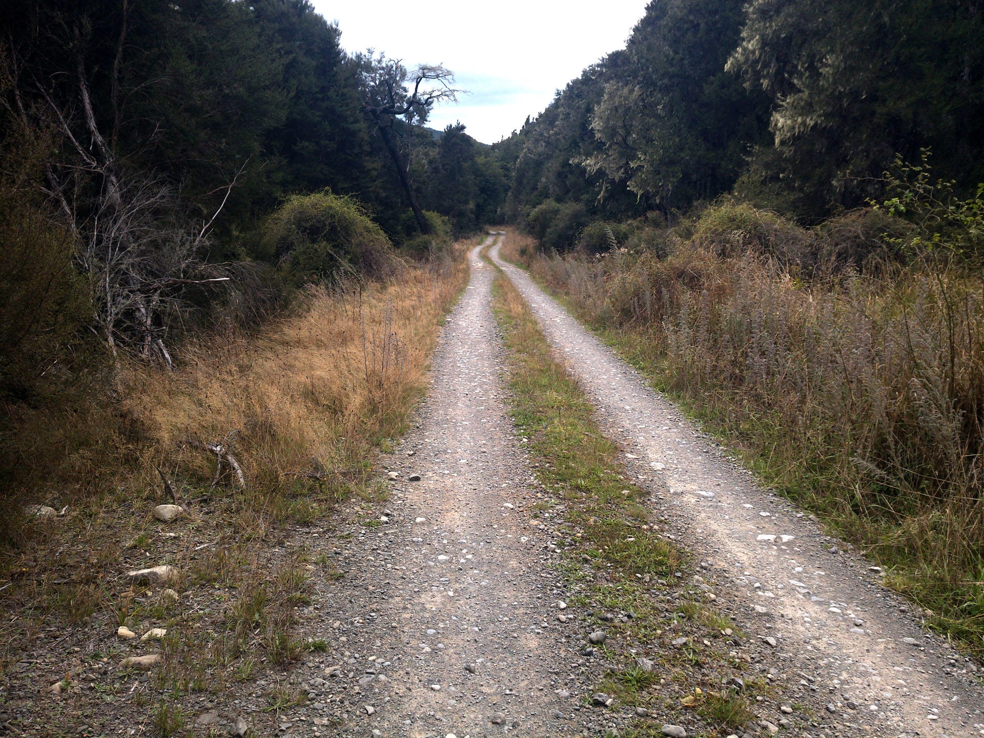 The track in Leatham Valley
