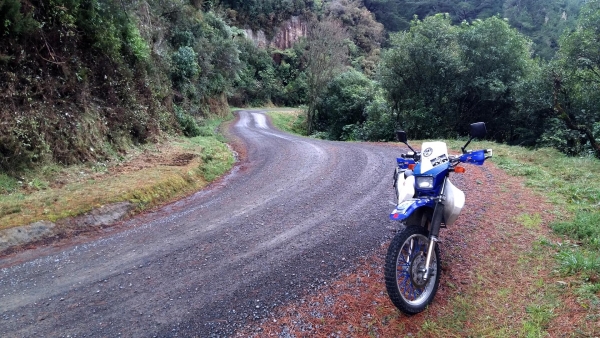 Loop Road