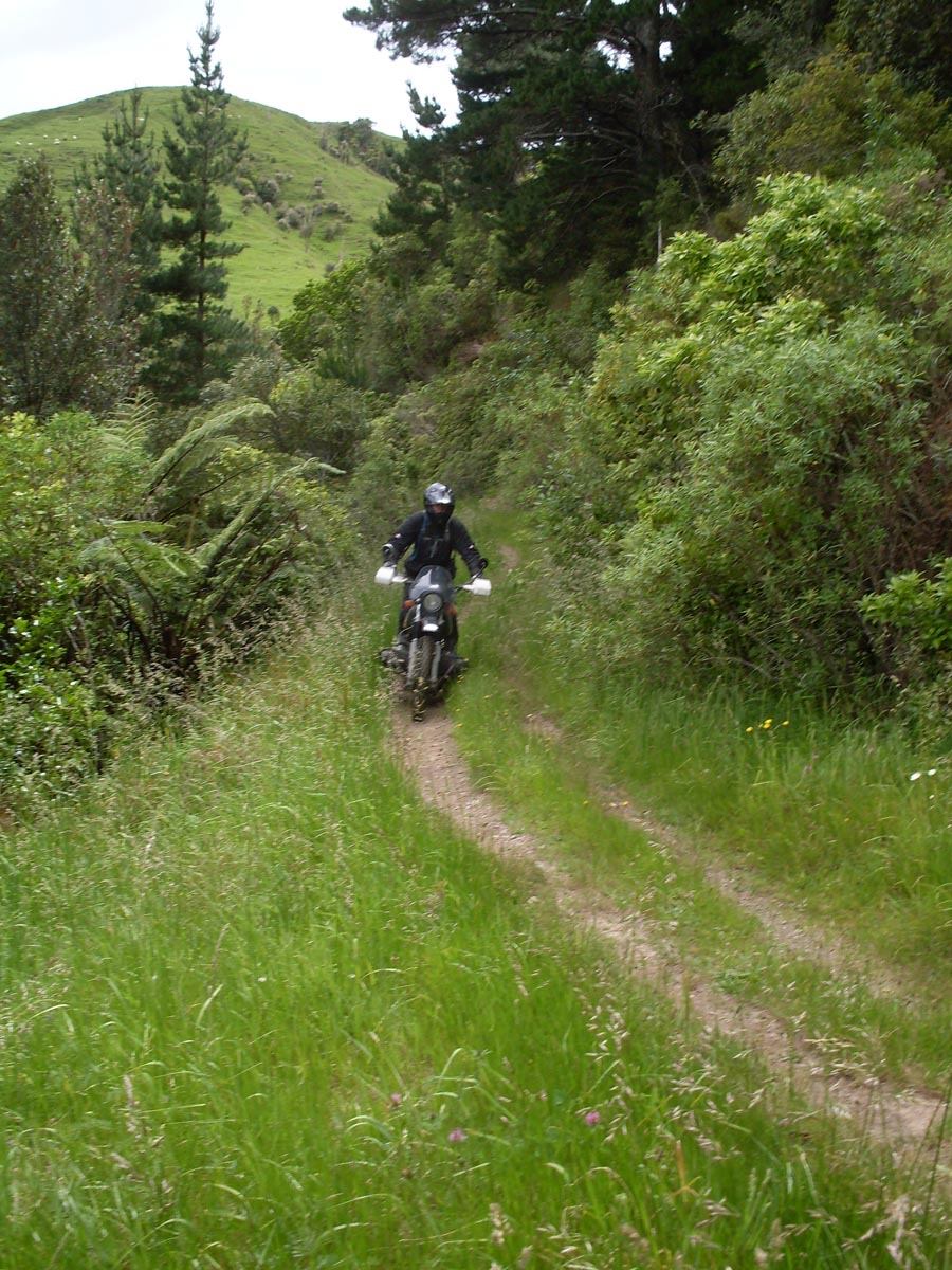A more open section of Makairo track