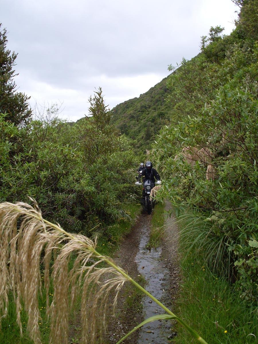 Water running down Makairo track