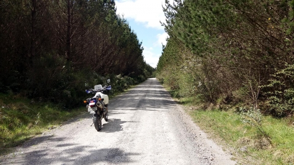 Mamaku South Road