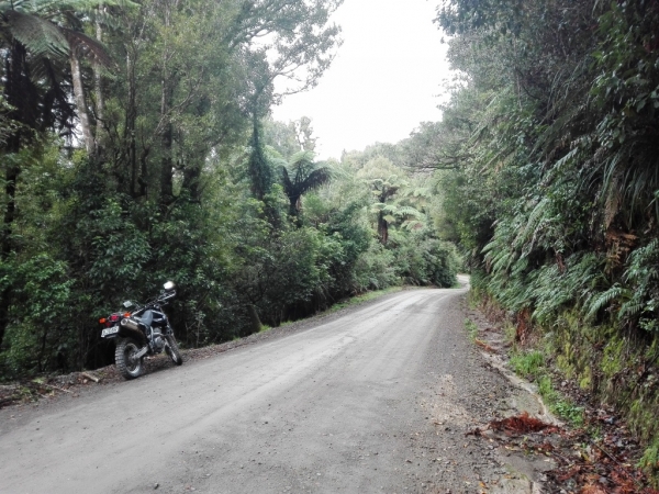 Mangatoi - No 2 Road
