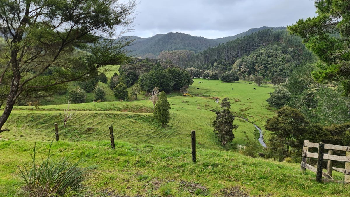 Marlborough Road to Maimatenu Road