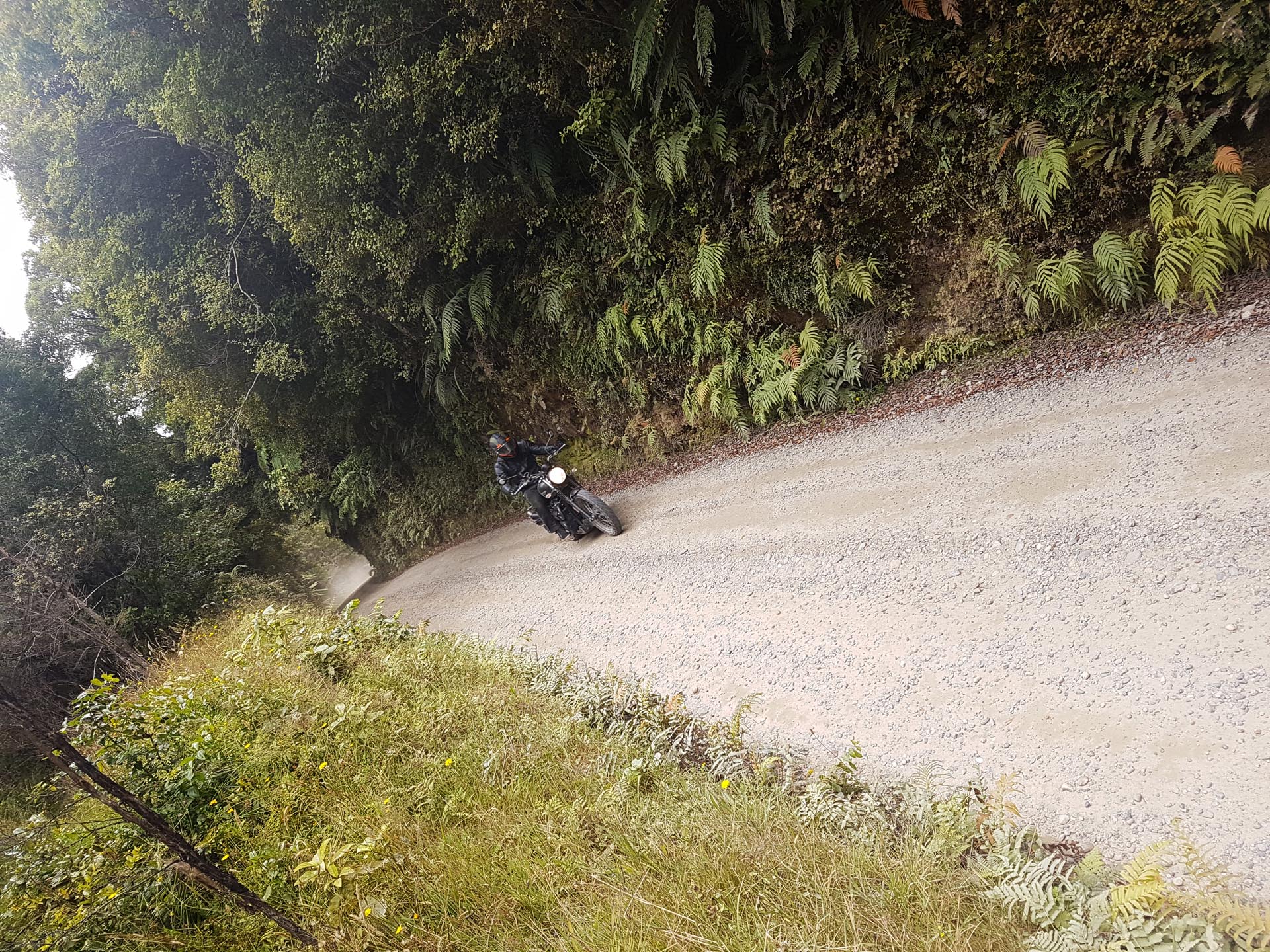 Riding Mccallums Mill Road
