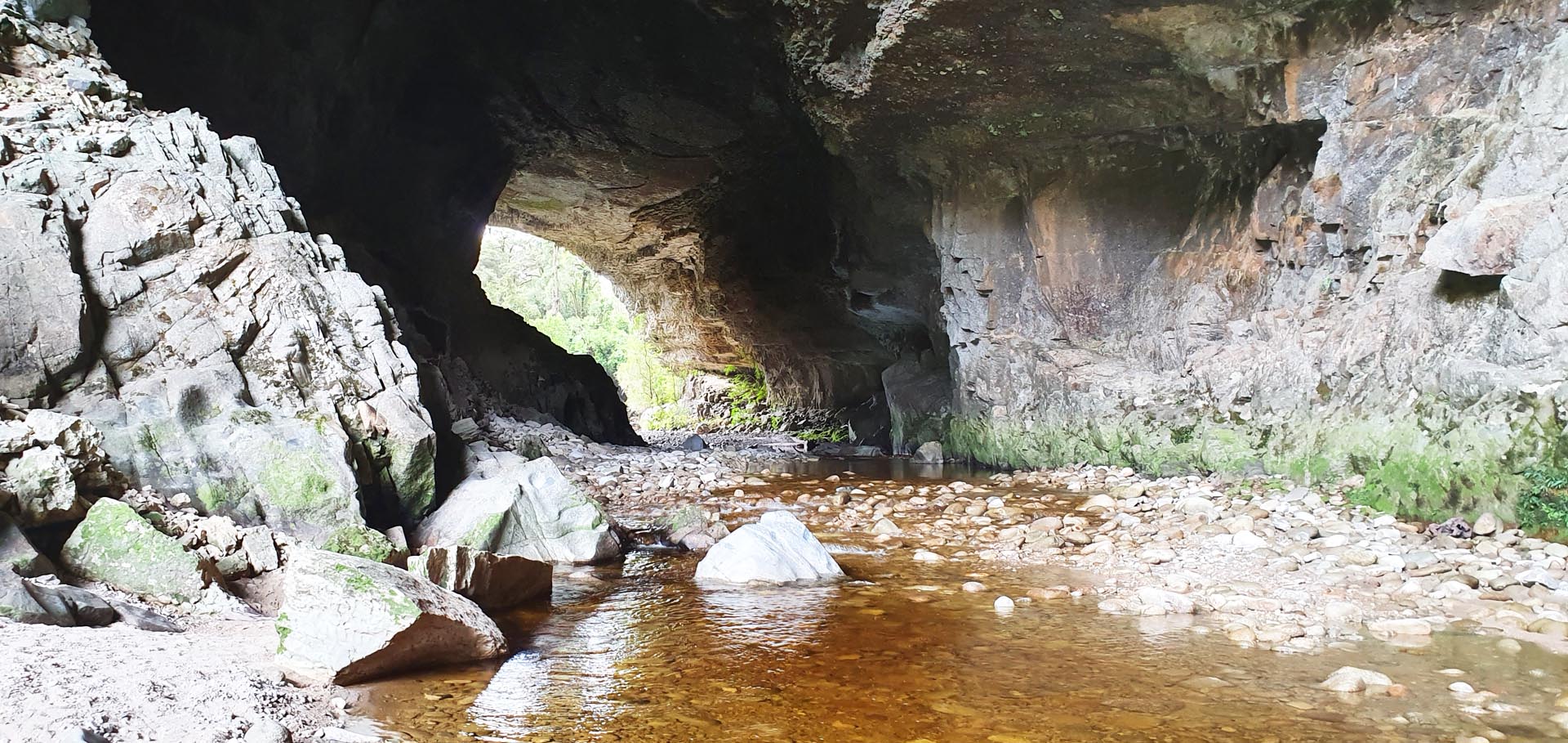 The Oparara Arch