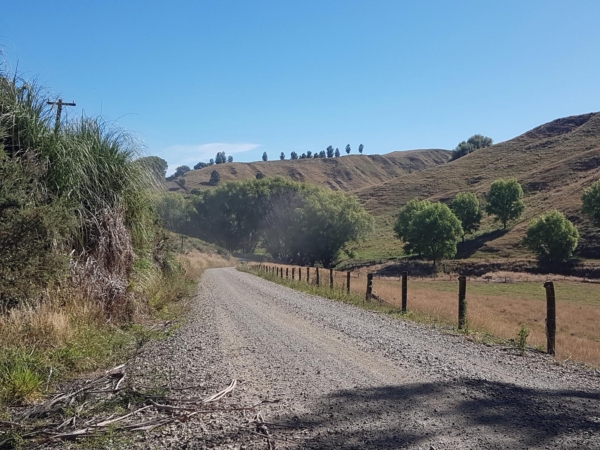 Mohaka Coach Road