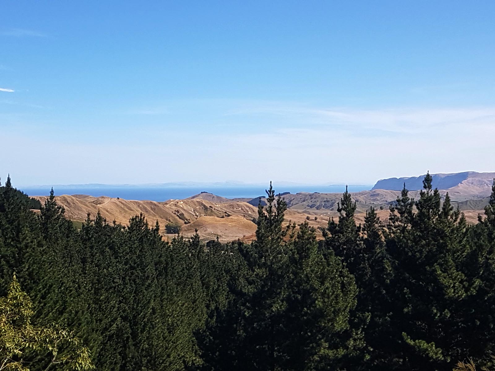 Views from Mohaka Coach Road