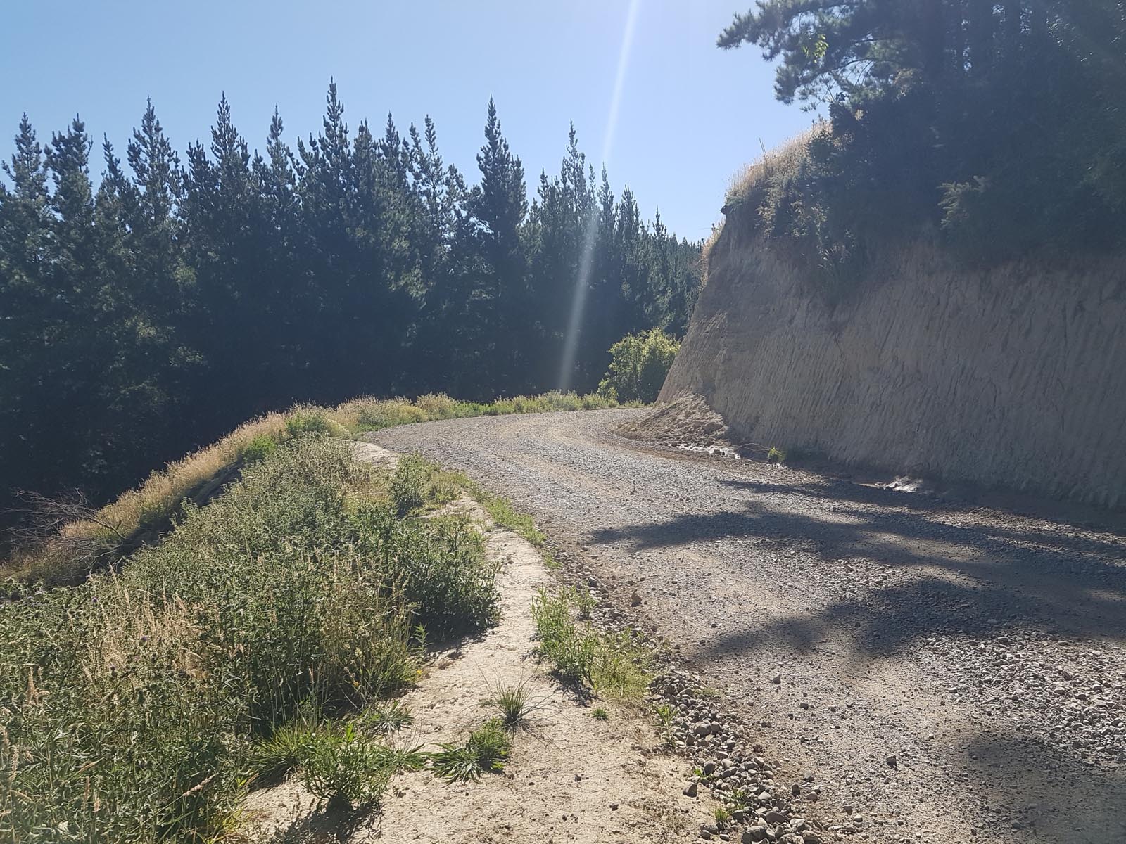Mohaka Coach Road