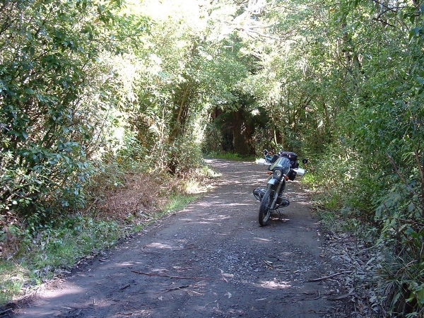 Ohakune Domain