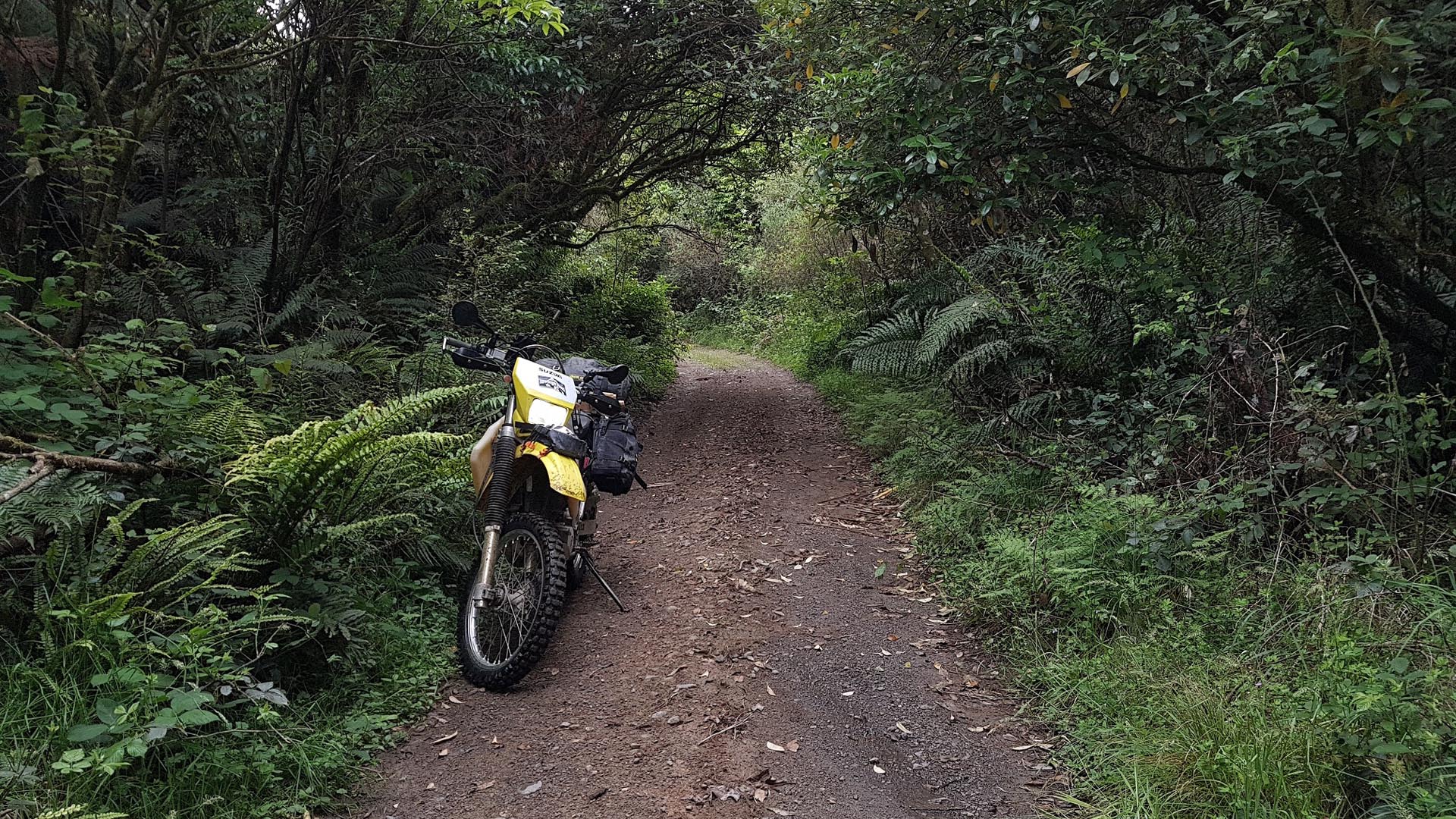 Okauaka Road