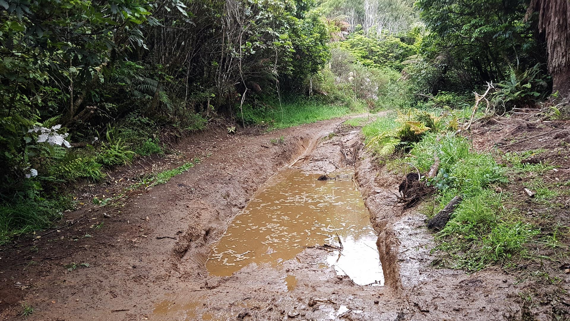 Okauaka Road