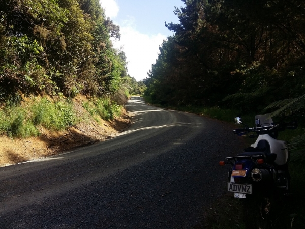 Otorohaea Trig Road
