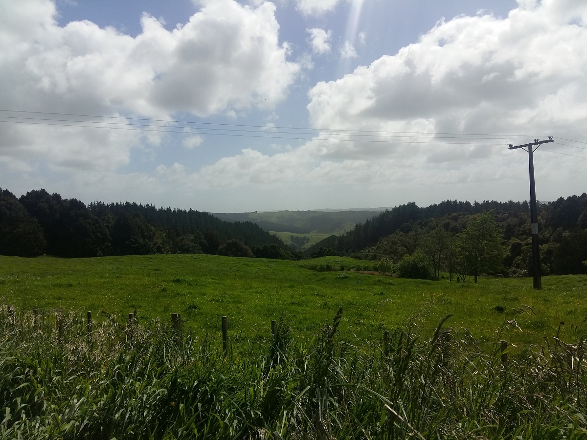 Views from Otorohaea Trig Road