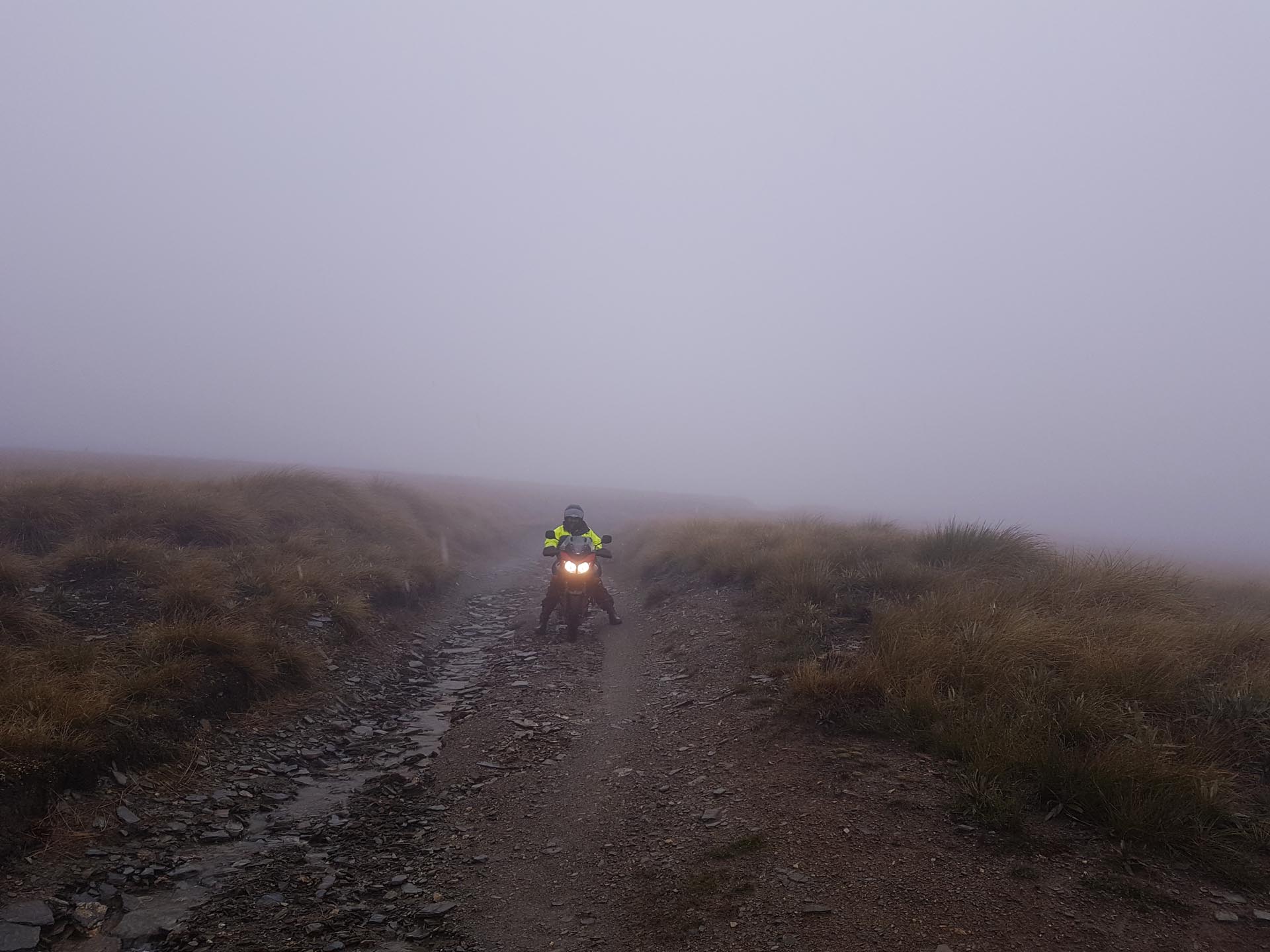 In the mist on Piano Flat