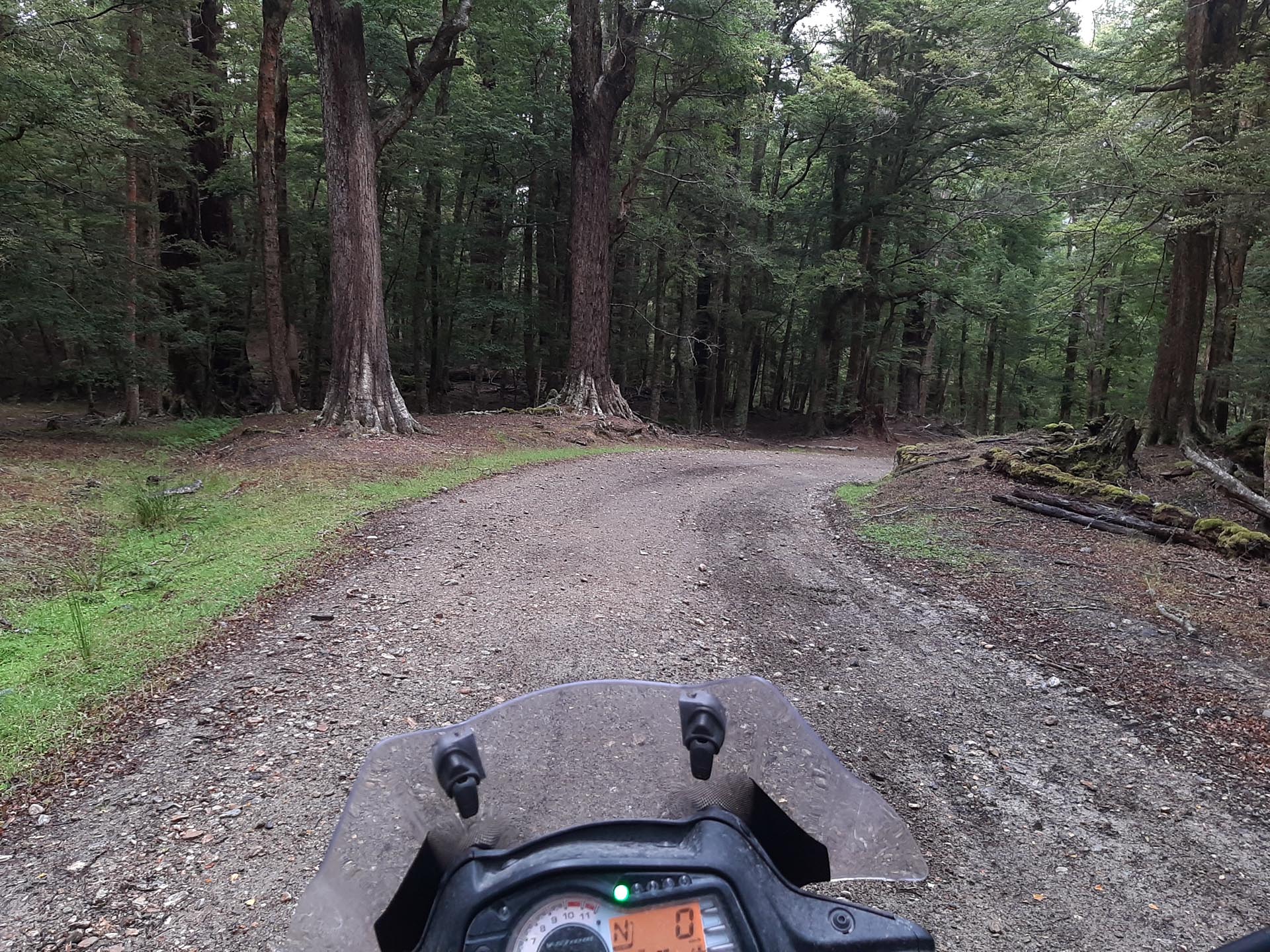 The southern end of Piano Flat passes through nice bush