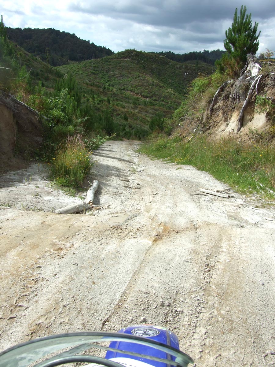 2km into the '45 minute' loop