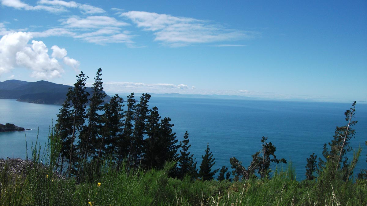 The North Island in the distance from Port Underwood Road