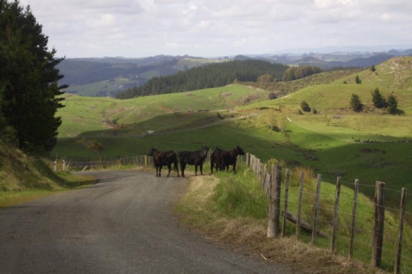 KAIPARA HILLS ROAD