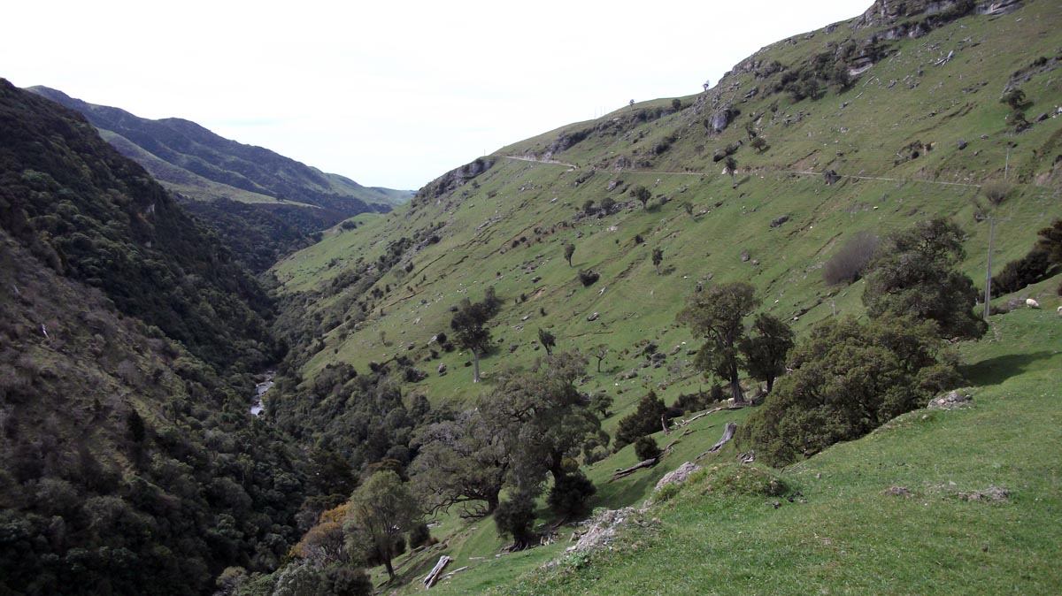 Haurangi road on the way to Sutherlands Hut