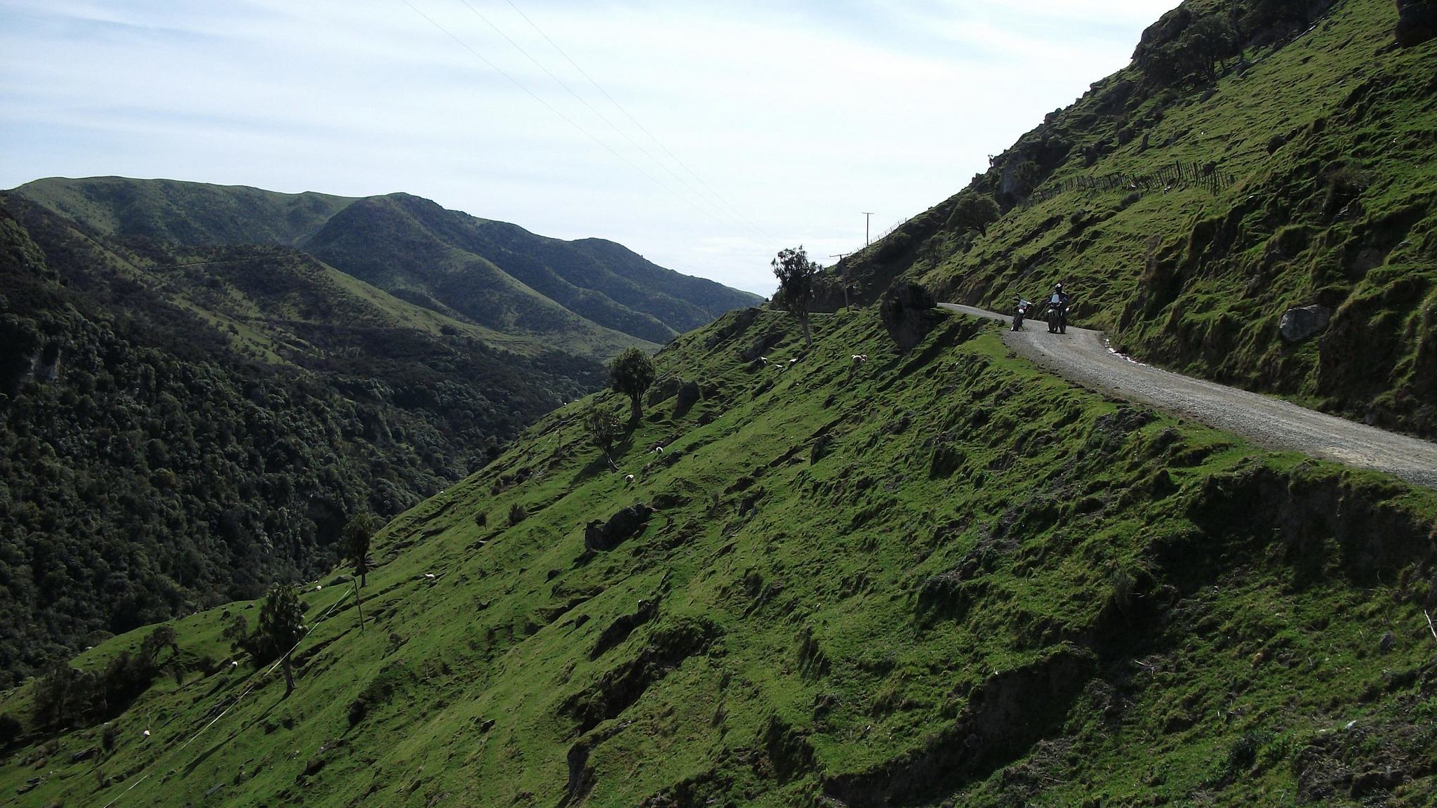 The drop off on Haurangi road on the way to Sutherlands Hut