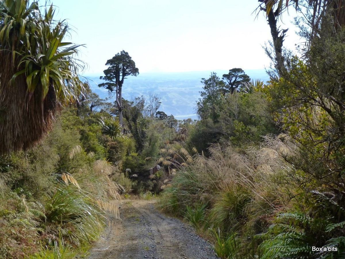 Great views on a clear day from Takapari Road