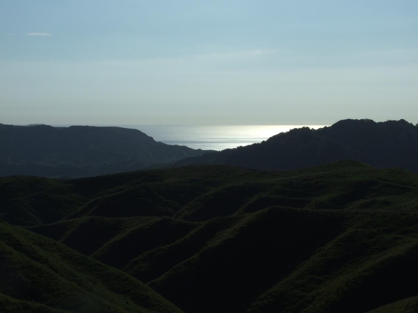 The Tasman Sea at dusk from Taumatamaire Road