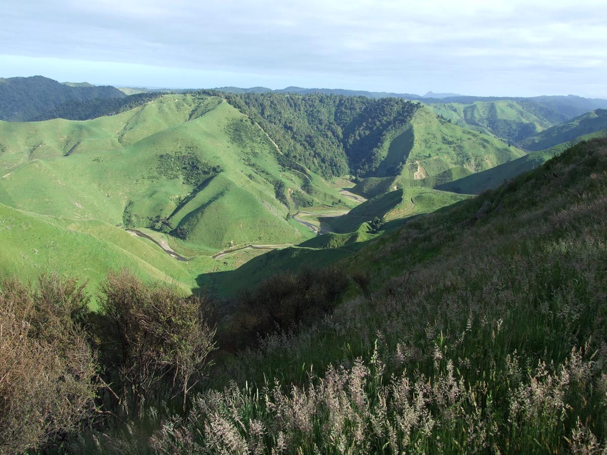 Hidden valleys on Taumatamaire Road