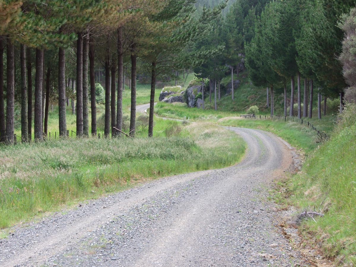 Taumatamaire Road