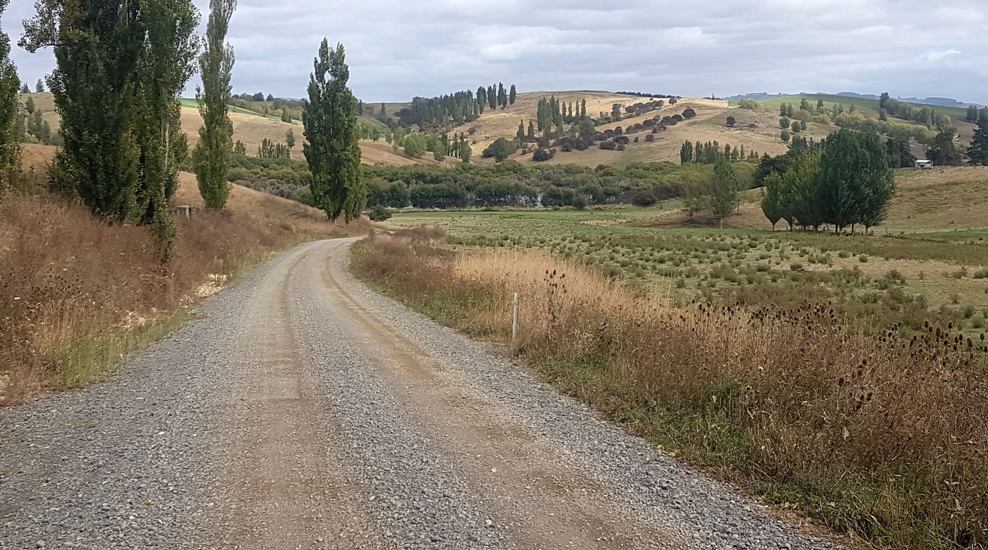 Te Awa - Hiranui Roads