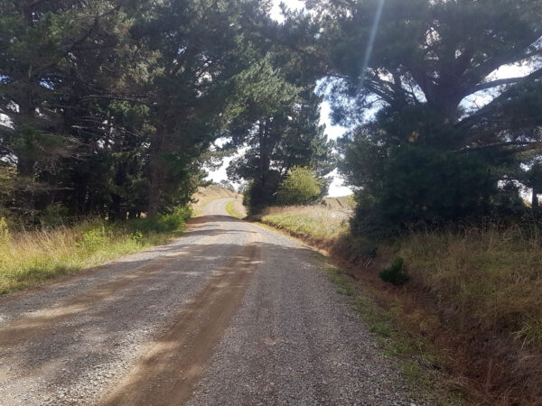 Views from Te Awa - Hiranui Roads