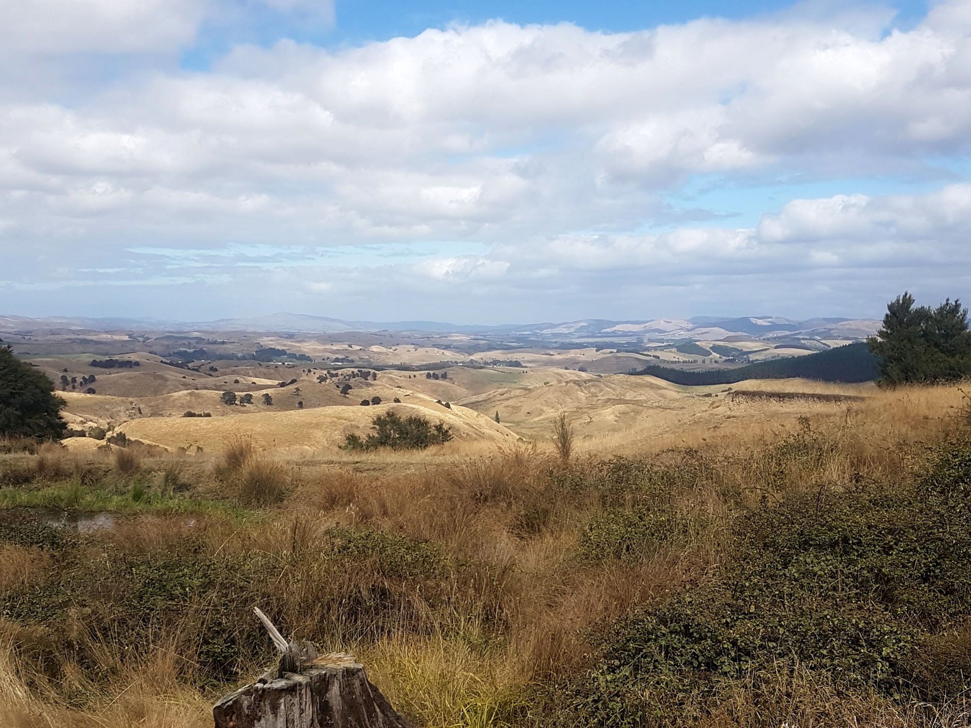 Views from Te Awa - Hiranui Roads