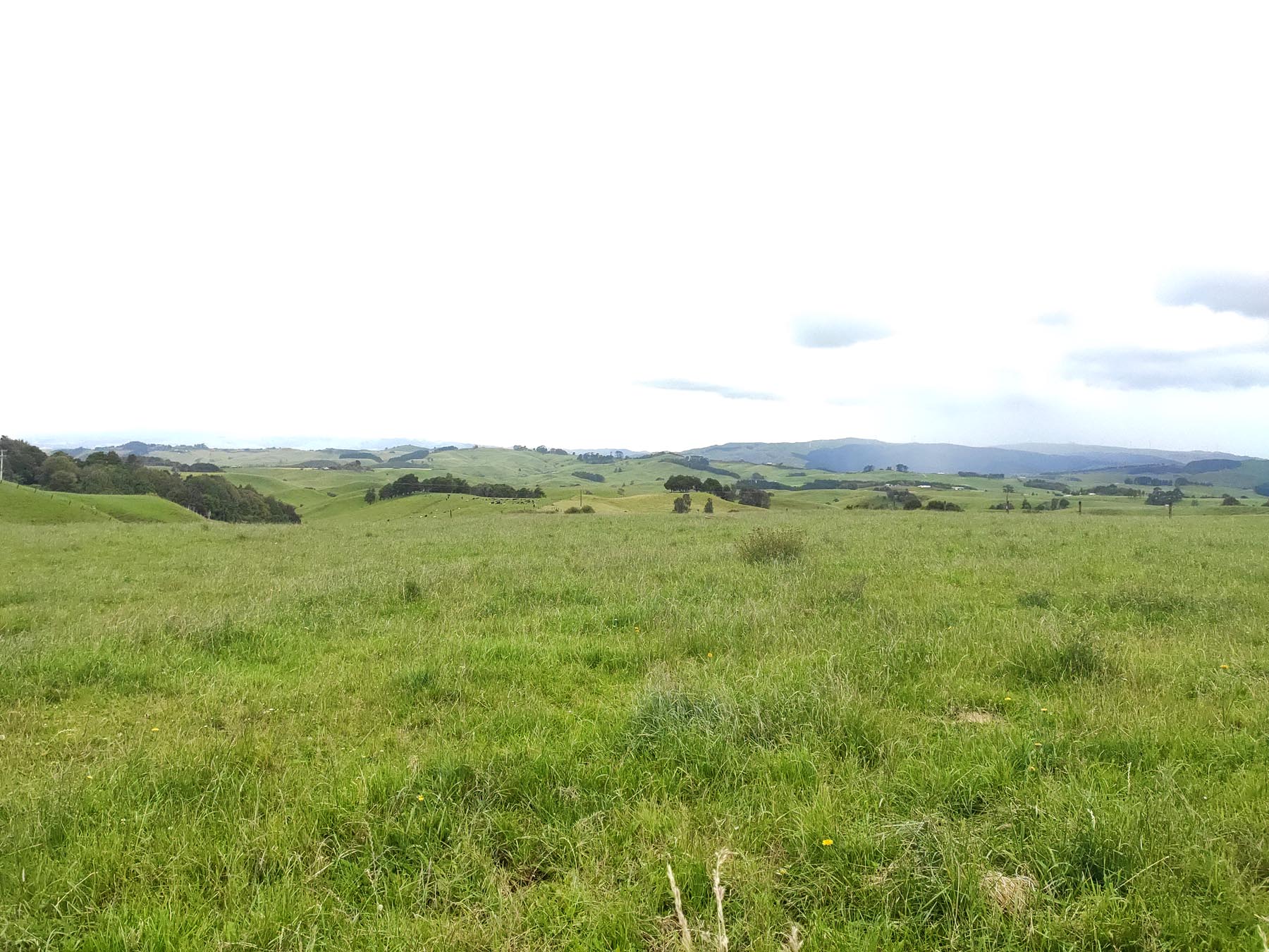Views from Te Hutewai Road