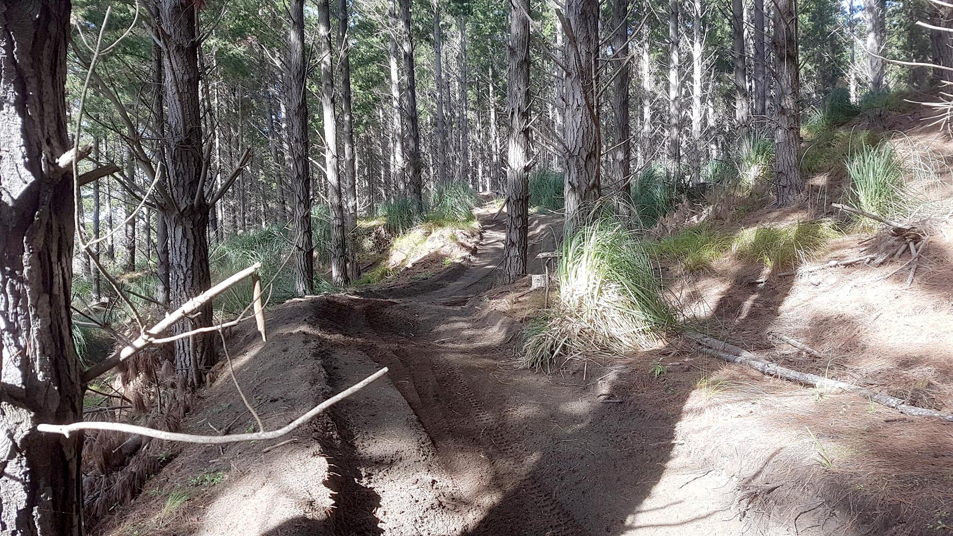 Groomed track at The Sandpit