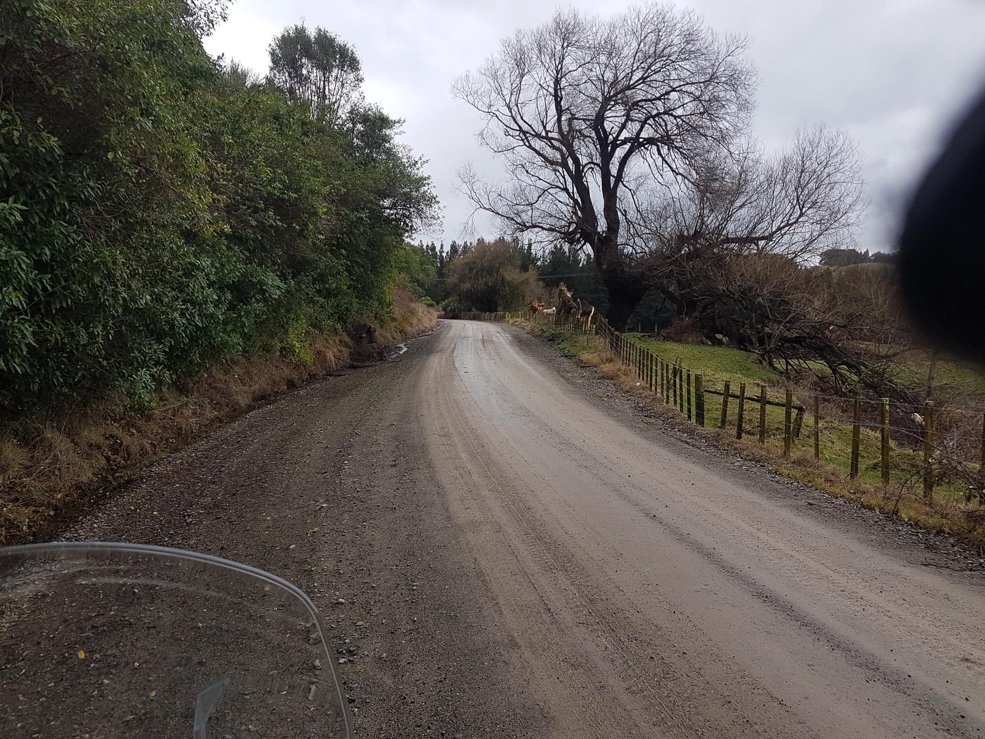 Waipunga Road near Eskdale