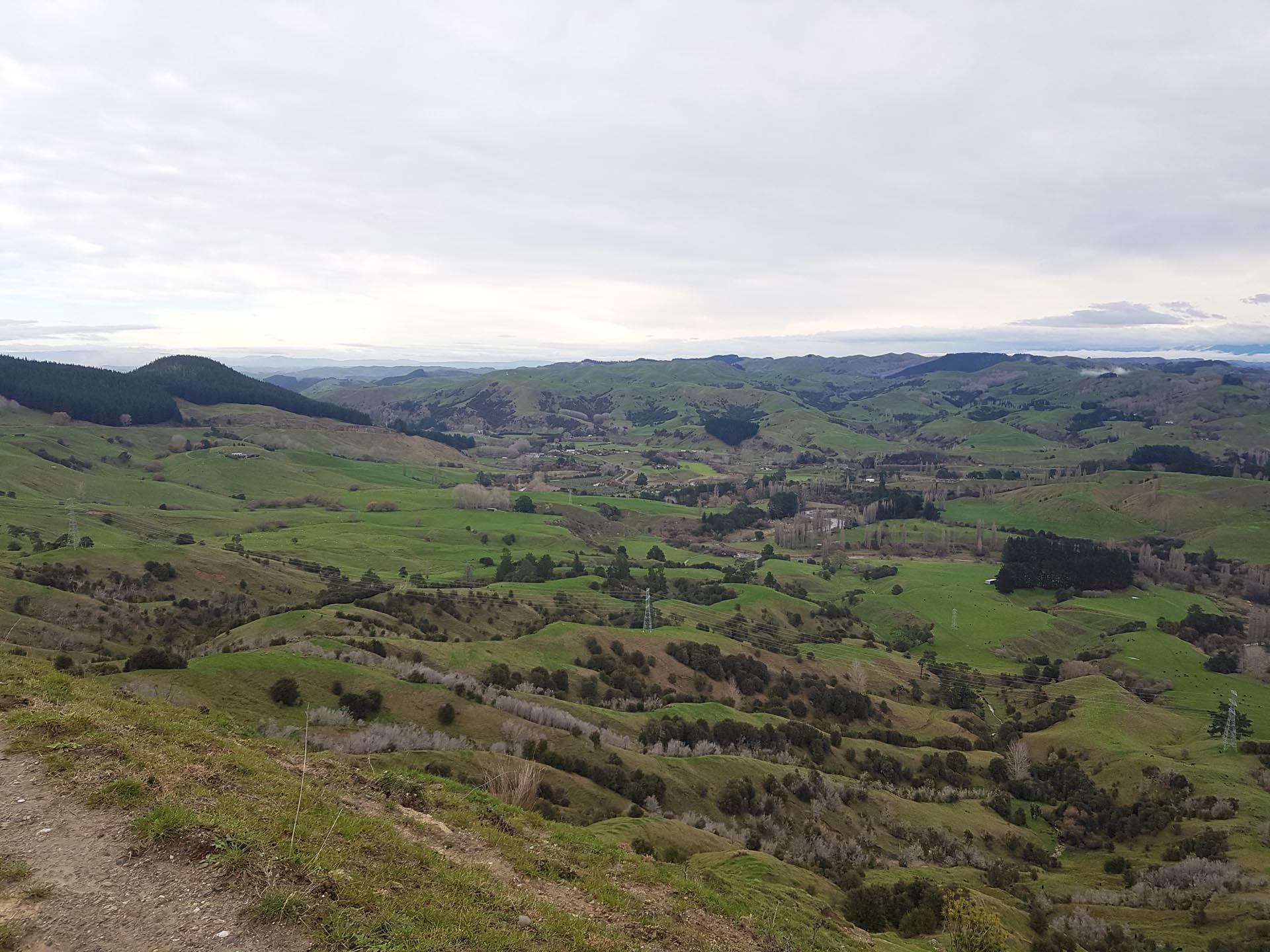 Views from Waipunga Road near Eskdale
