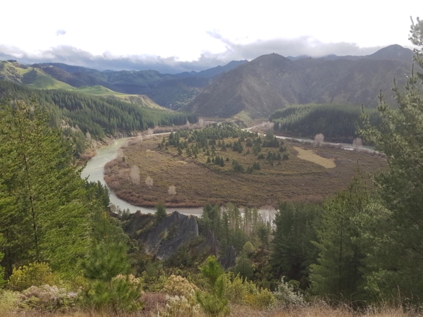 Looking down at the Mohaka River